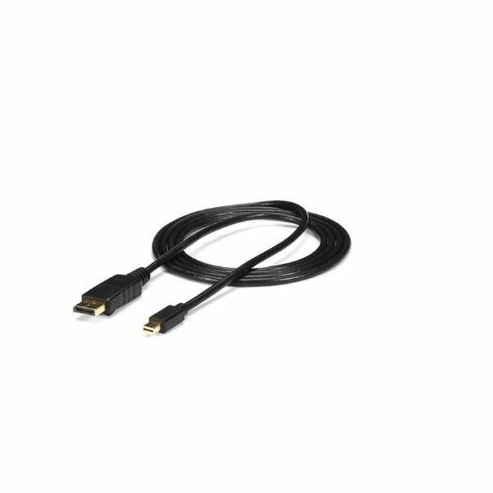 Mini-DisplayPort-Kabel zu DisplayPort Startech MDP2DPMM6            (1,8 m) Schwarz