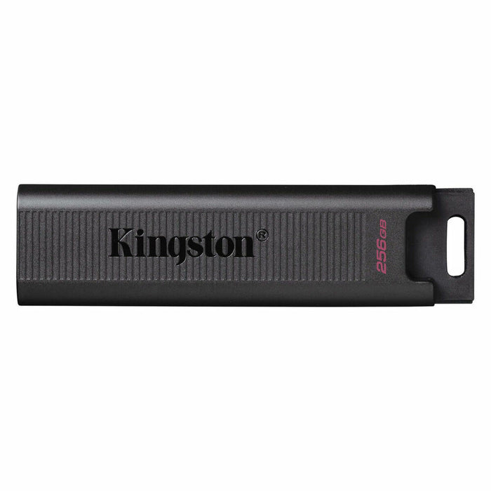 USB Pendrive Kingston DTMAX 256 GB